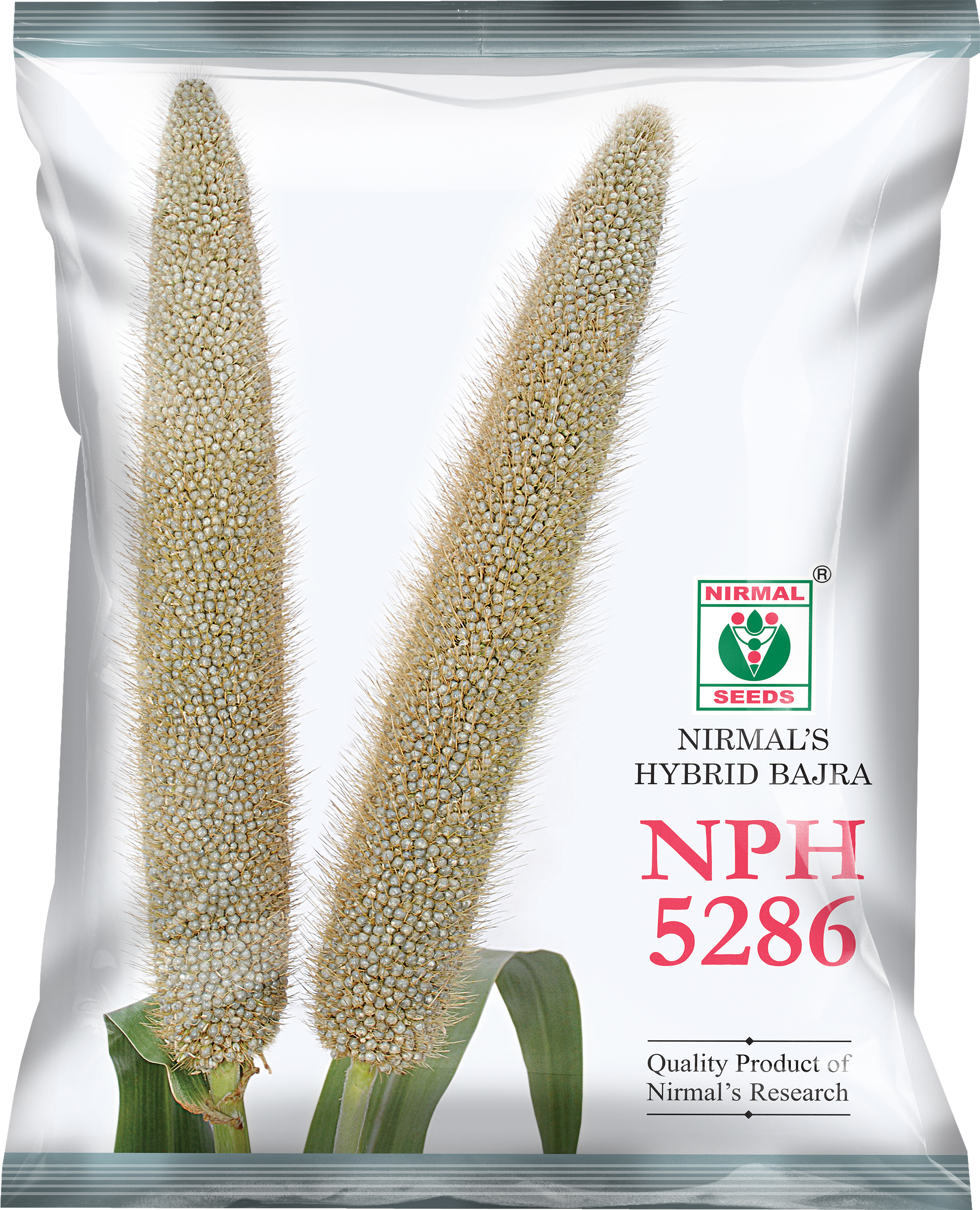 NPH-5286 hybrid pearl millet