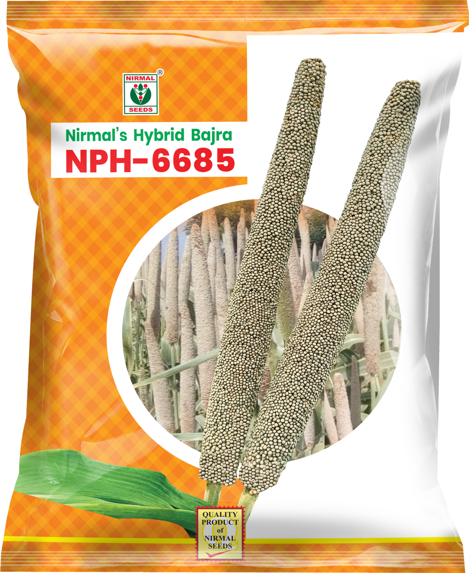 NPH-6685 hybrid pearl millet