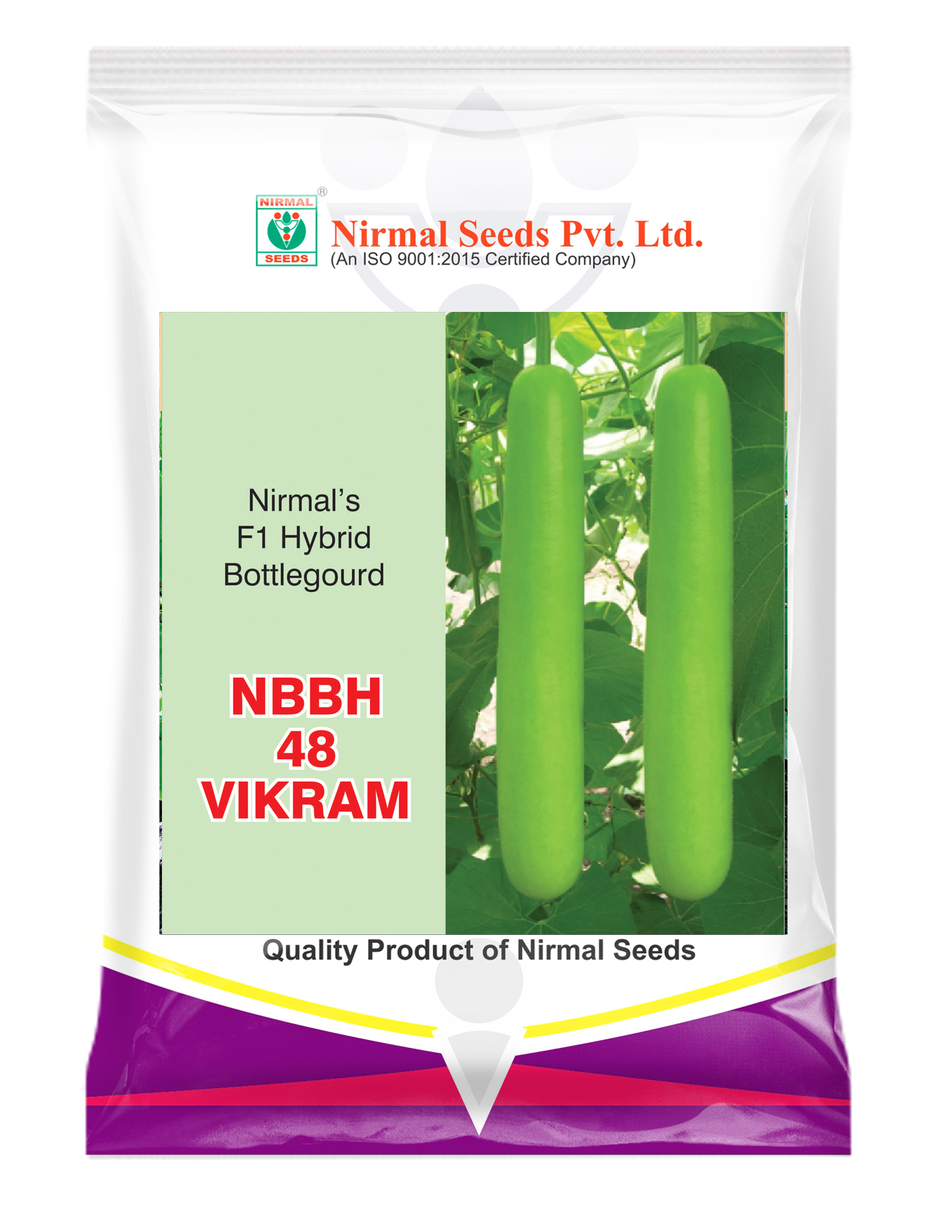 NBBH-48 (Vikram)