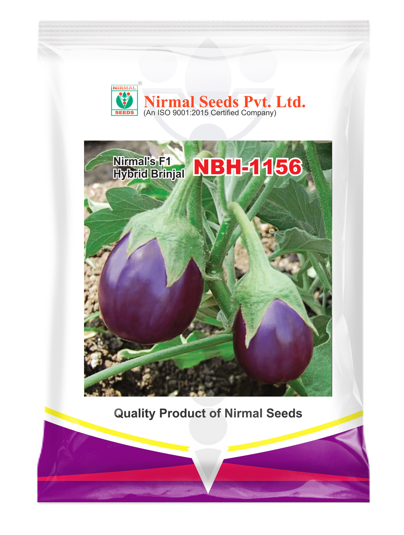 NBH-1156 Hybrid Brinjal