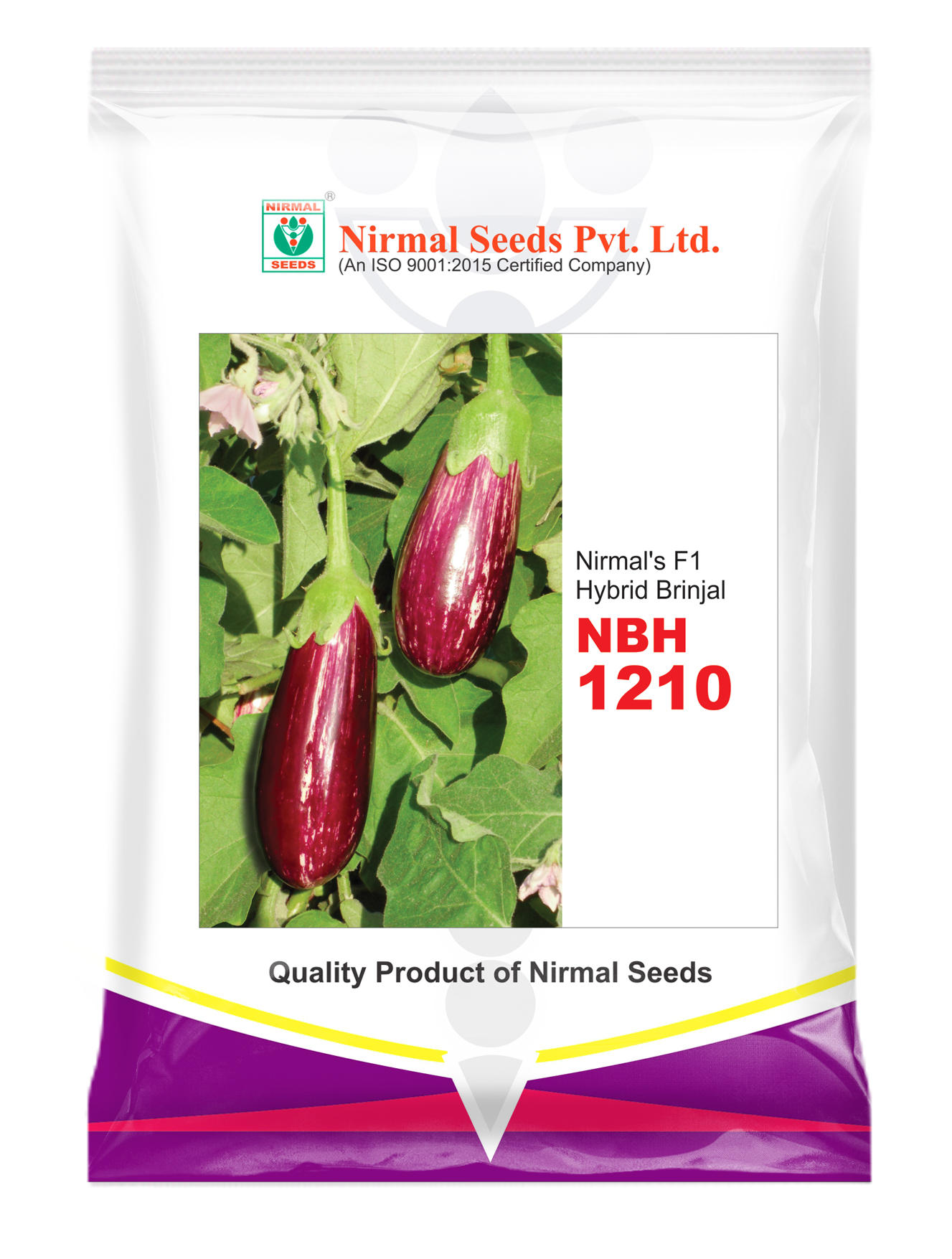 NBH-1210 Hybrid Brinjal