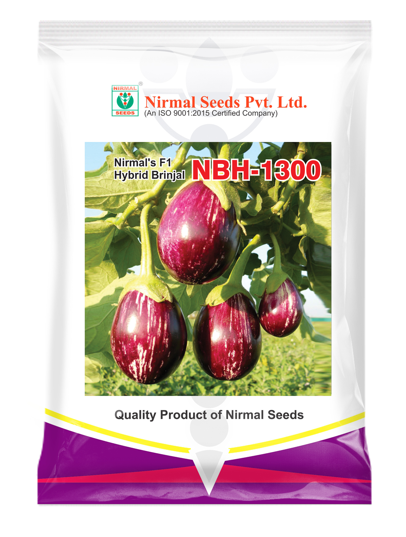 NBH-1300 Hybrid Brinjal