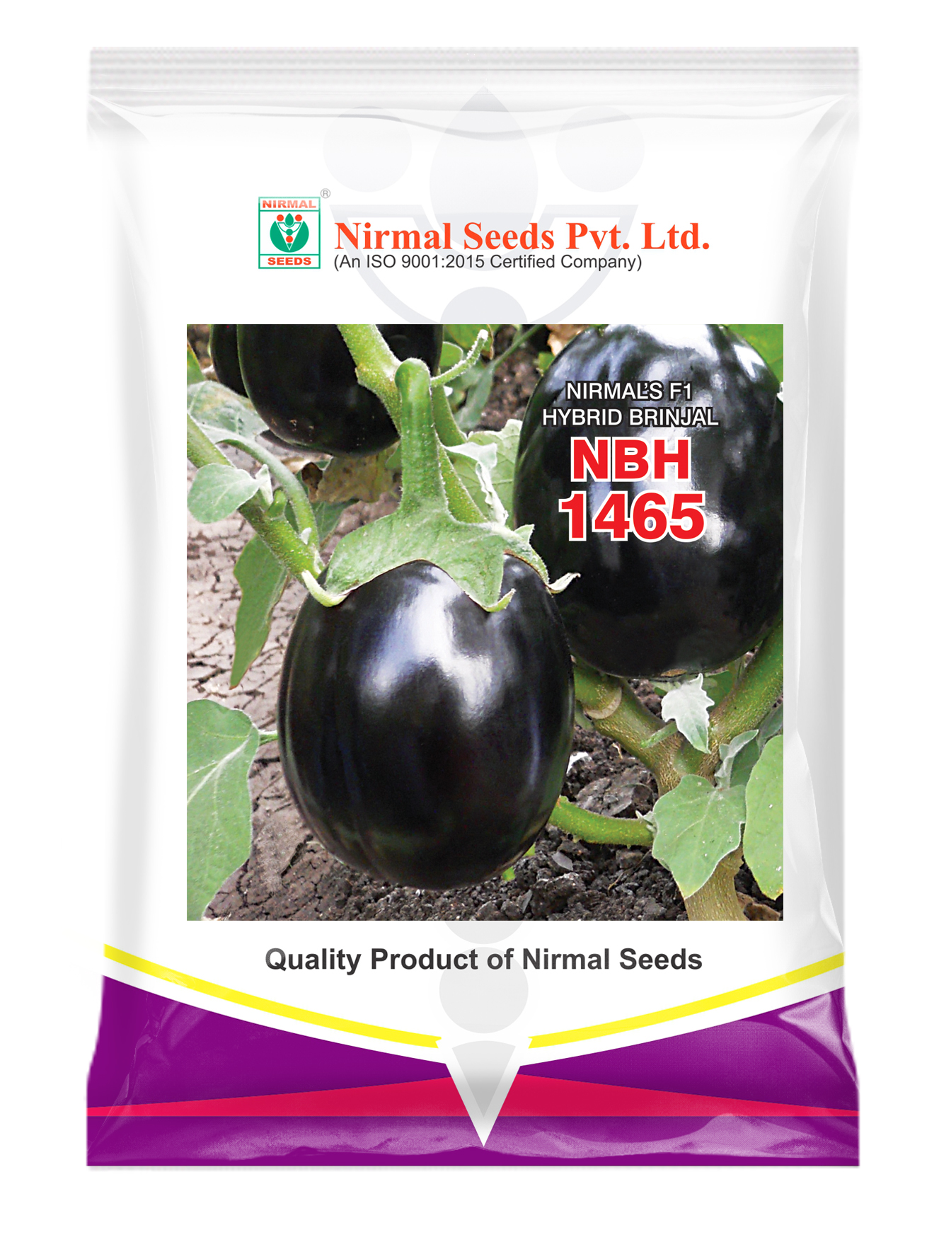 NBH-1465 Hybrid Brinjal