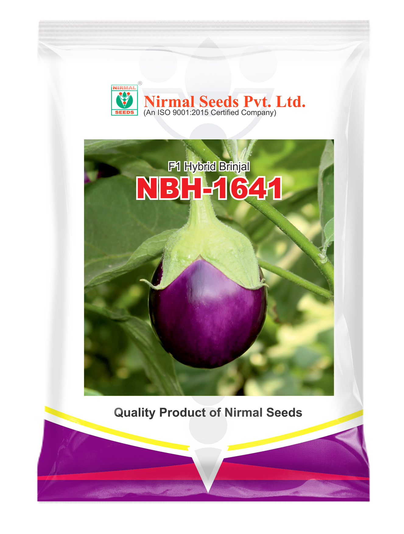 NBH-1641 Hybrid Brinjal