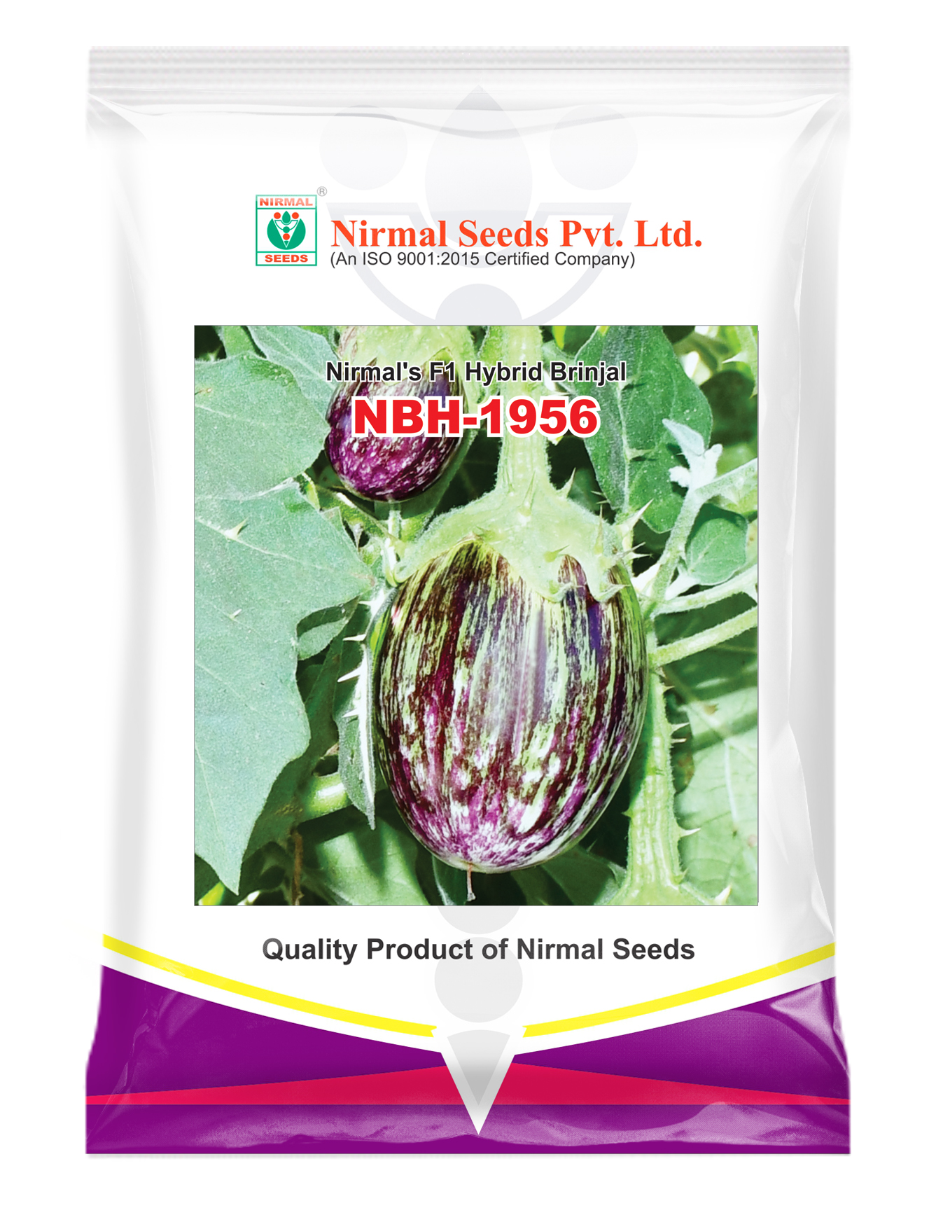 NBH-1956 Hybrid Brinjal
