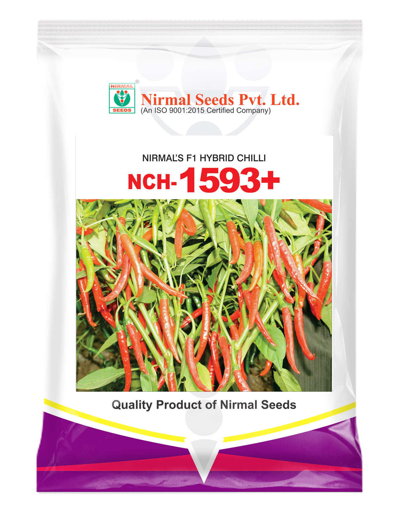 NCH-1593+ Hybrid Chilli