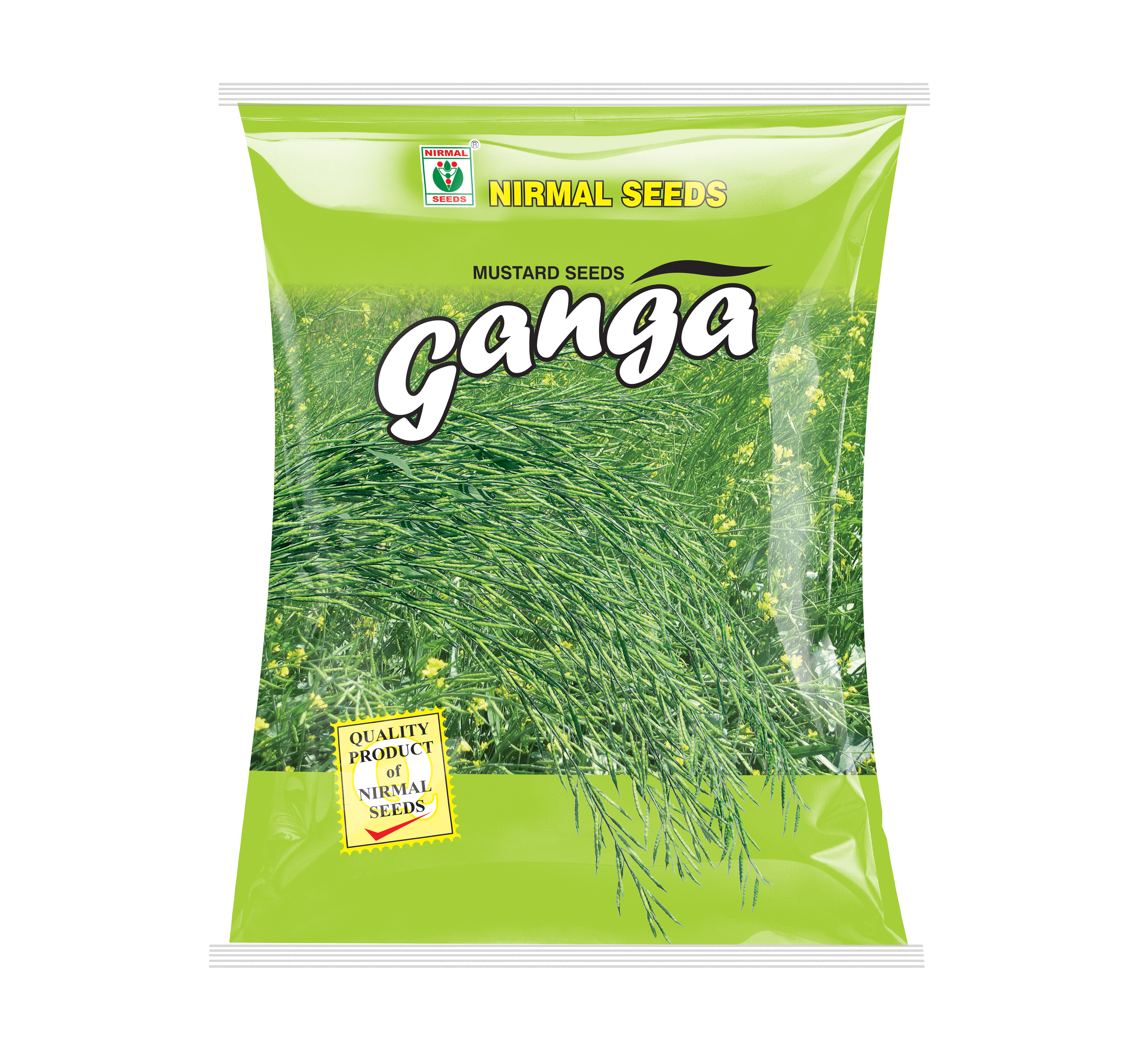 Ganga mustard crop