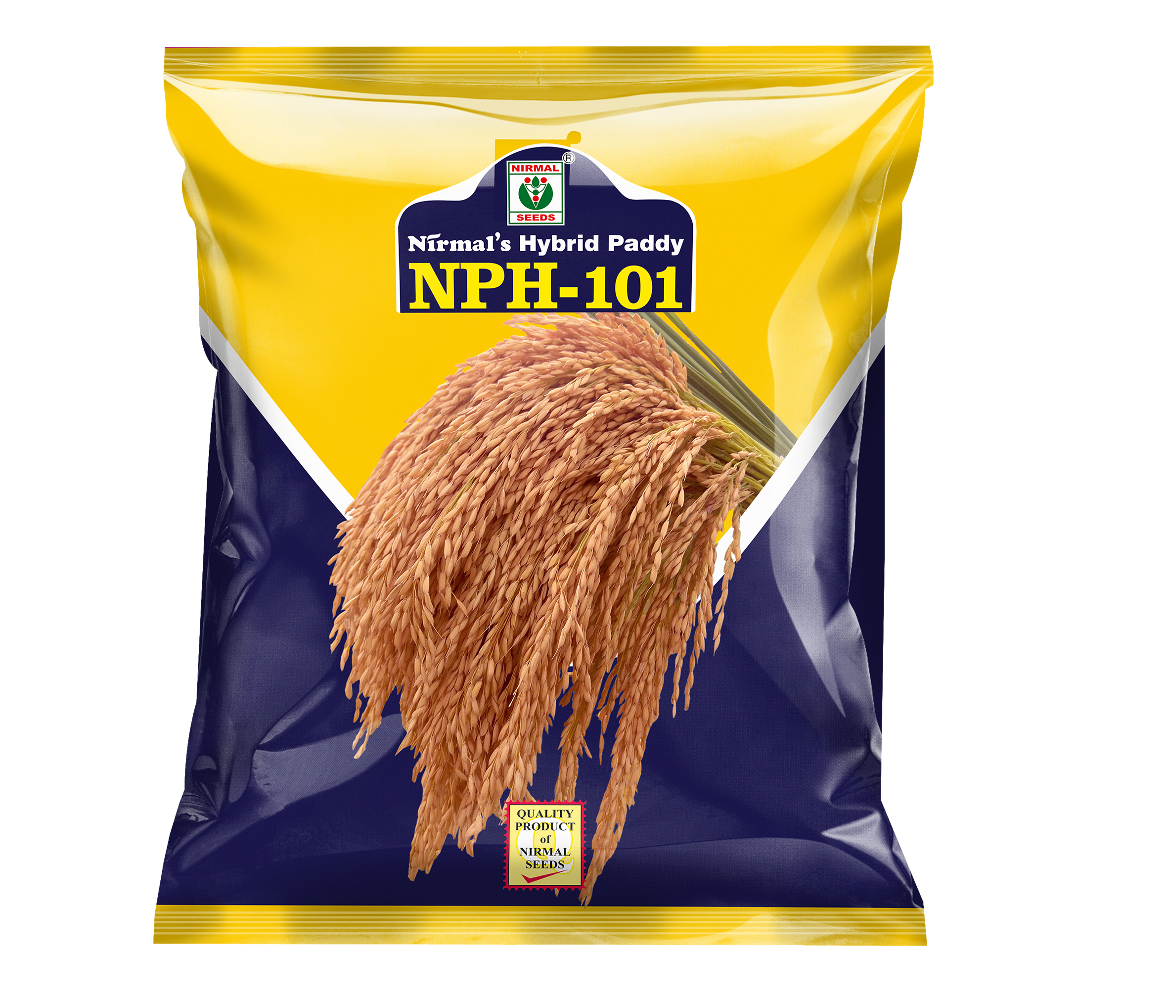 NPH-101 hybrid paddy