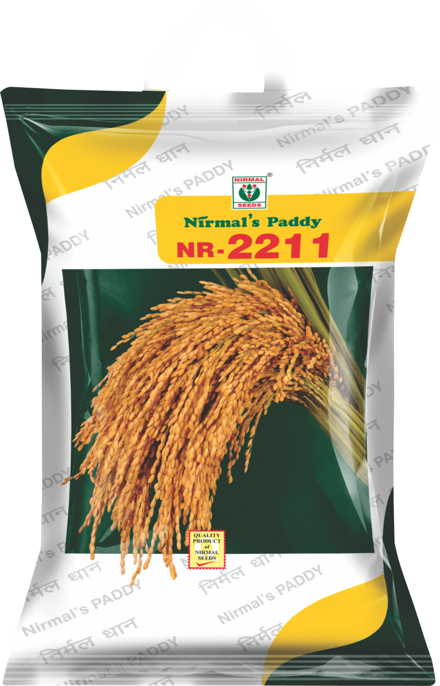 NR-2211 paddy