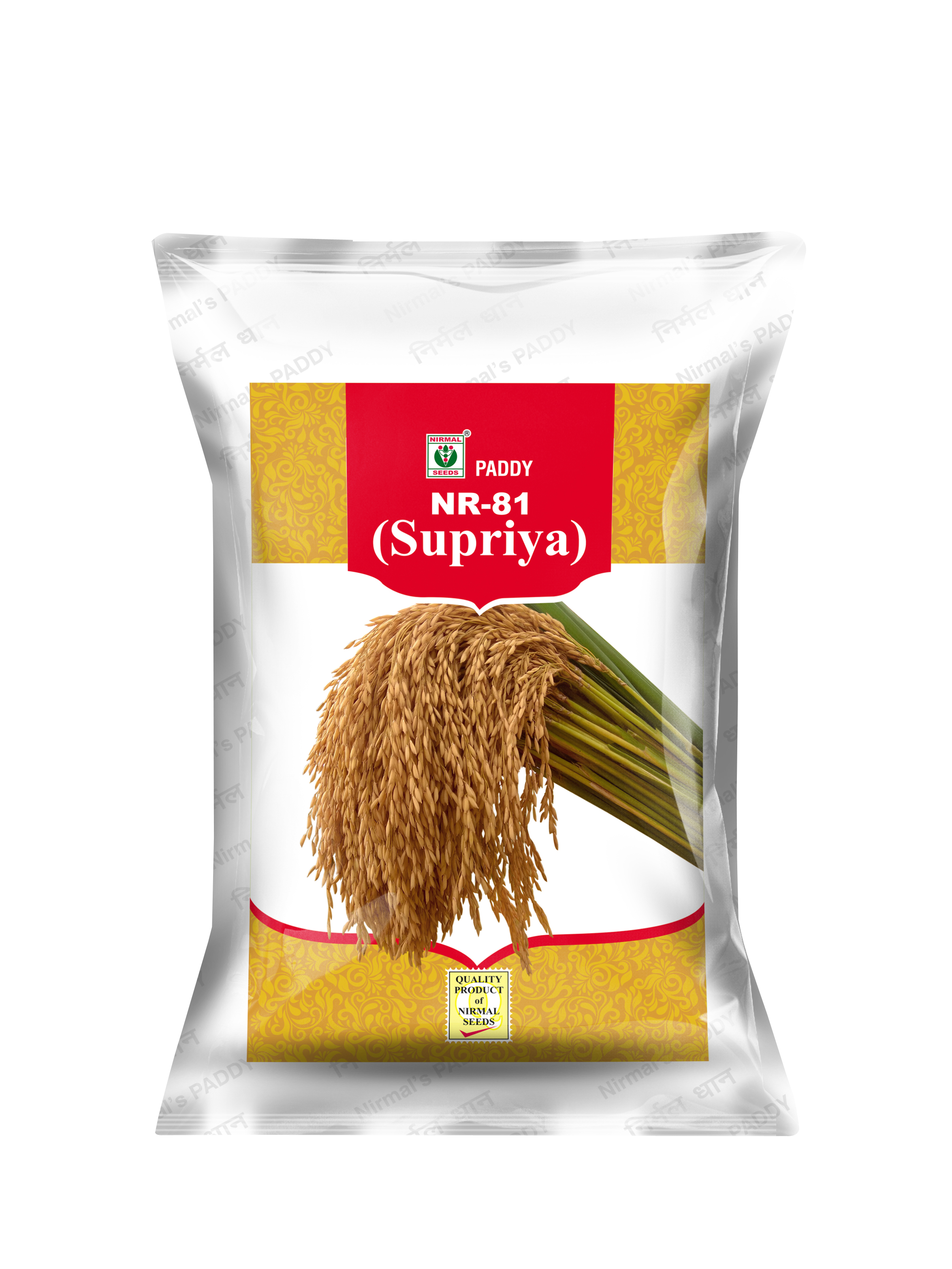 Supriya NR-81 paddy