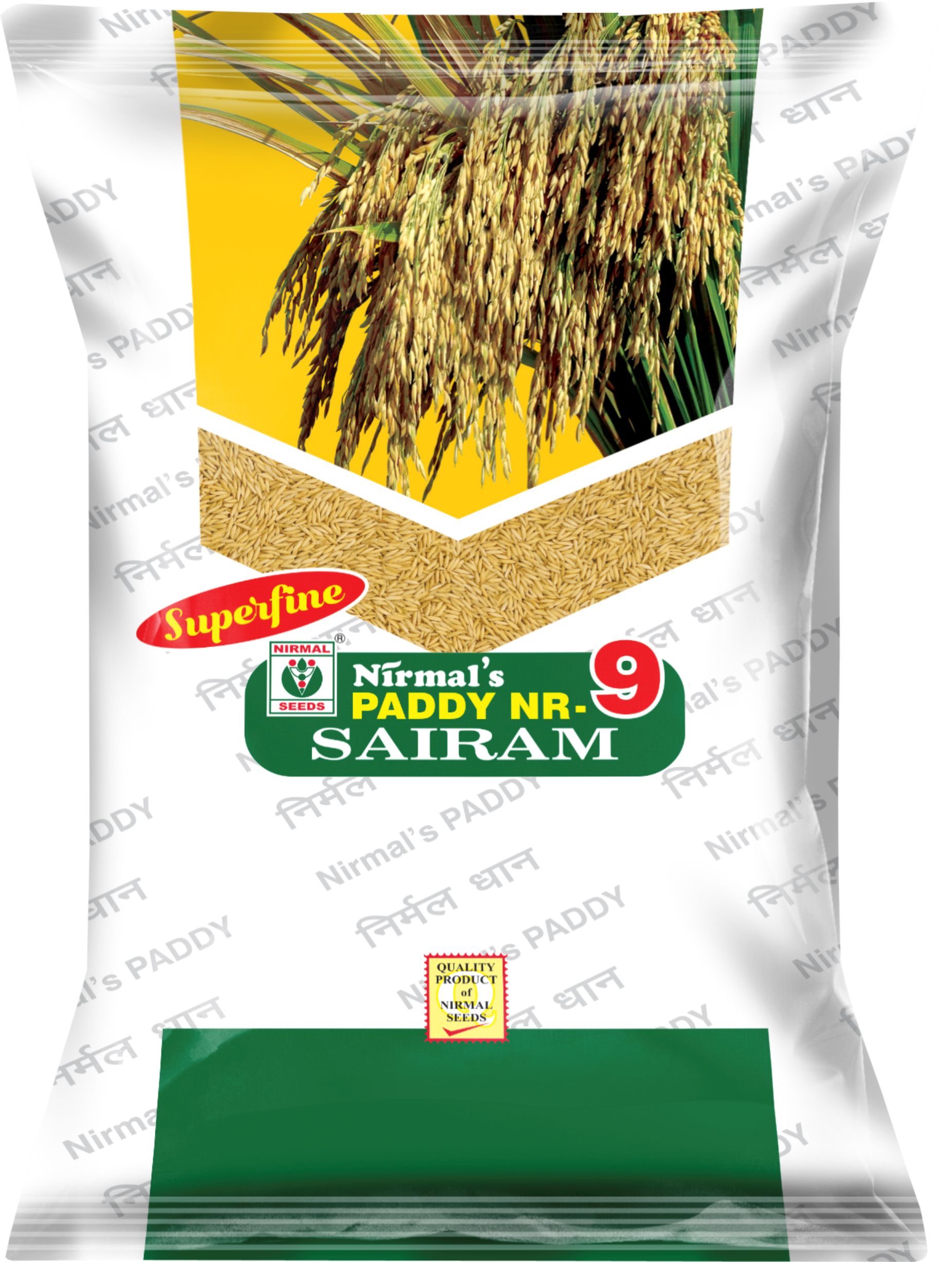 Sairam NR-9 paddy