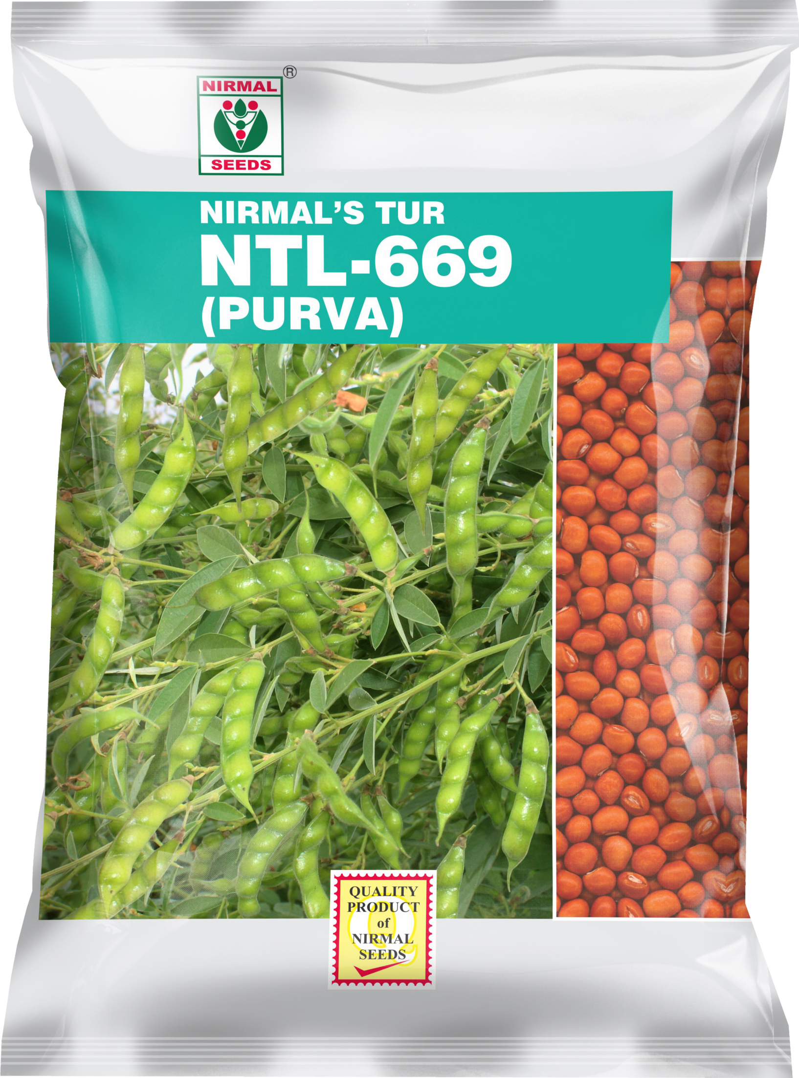 Purva NTL-669 pigeonpea crop