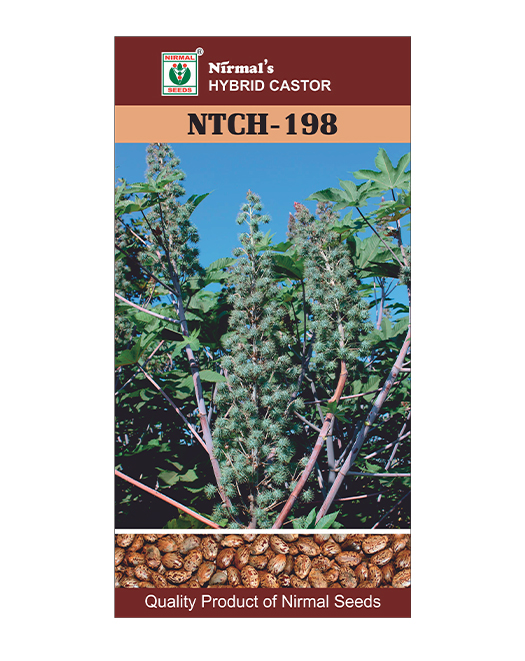 NTCH-198 hybrid castor