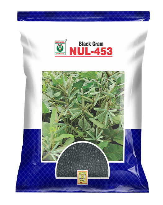 NUL-453 black gram crop