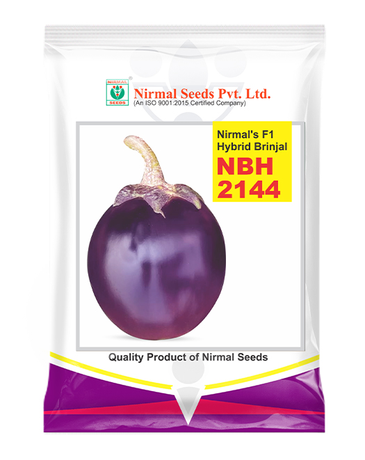 NBH-2144 Hybrid Brinjal