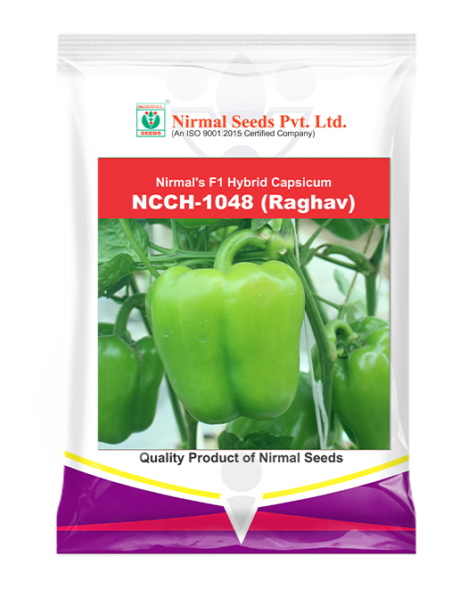 NCCH-1048 (Raghav)
