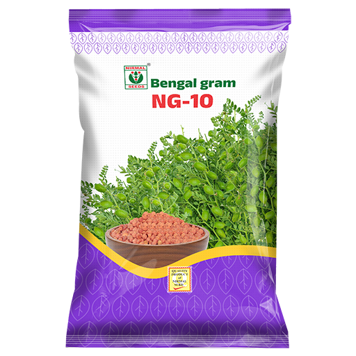 NG-10 Gram seeds